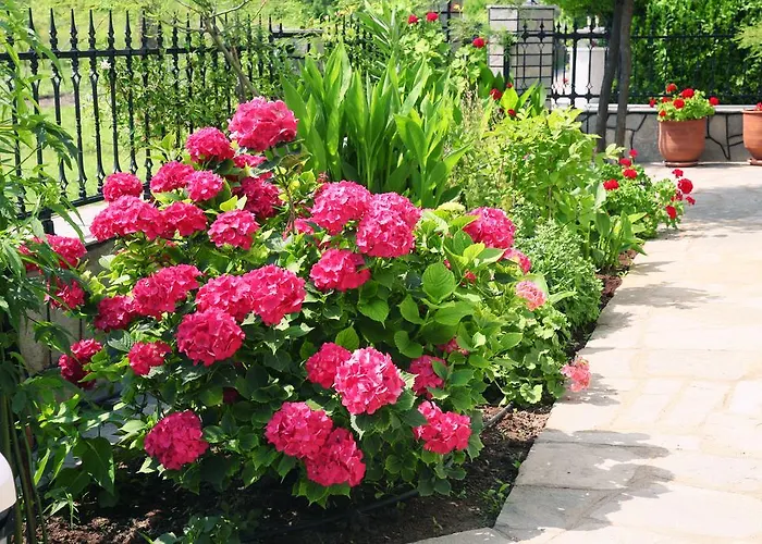 Philoxenia Prinos (Thasos)